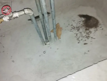 黑河卫生间测漏水价格明细