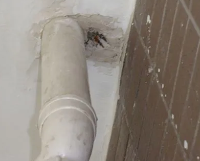 黑河漏水检测哪家好